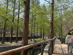 -白水寺森林公园