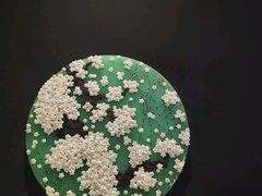 -德基艺术博物馆