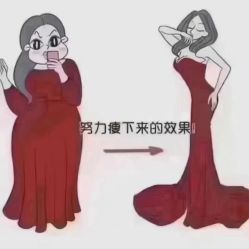 -香薇妮丝女子减肥院