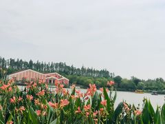 -上海长兴岛郊野公园