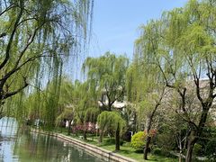 -柳莺湖上·湖景餐厅·江南菜(西湖店)