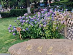 -常州古运河南大街文化旅游区-人民公园