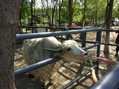 景点-长白岛森林公园