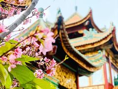 -宝墨园景区