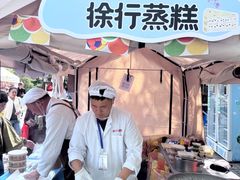 -嘉定紫藤园