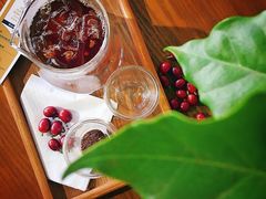-Torch Coffee 炬点咖啡
