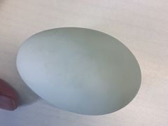 -粥传(太古里店)