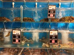 -苏大嘴海鲜牧场(奥林匹克店)