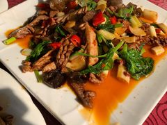 -灯盏窝饭店(新都分店)