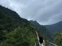 -龙湾潭国家森林公园