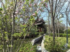 -晋祠公园
