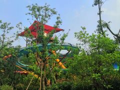 -杭州开元森泊度假乐园