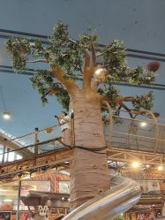 -卡通尼·Safari非洲探索乐园·生日会(金桥国际商业广场店)