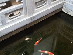 -鲤院·新中式美学·庭院餐厅(夫子庙店)