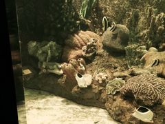 -厦门海底世界
