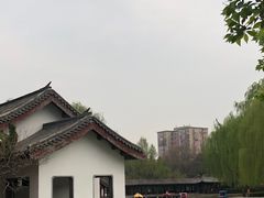 -团结湖公园