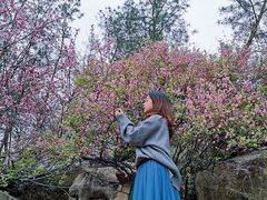 -秀丽东方