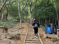 -上海佘山国家森林公园天马山园