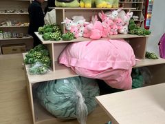 -广东惠东海龟国家级自然保护区