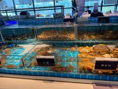 -渔纬港海鲜自助餐厅(湖里万达店)