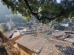 -杨家堂村