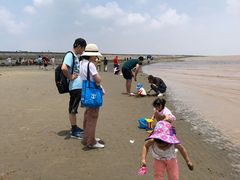 -南汇嘴观海公园