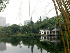 -晓港公园