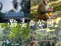 -黔灵山公园