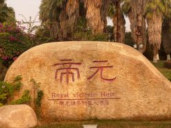 -帝元维多利亚大酒店·宴会厅