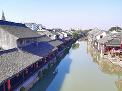 -枫泾丁氏烧卖(枫丽路店)