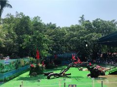 -广州长隆飞鸟乐园
