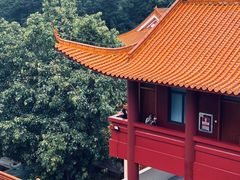 -深圳仙湖植物园