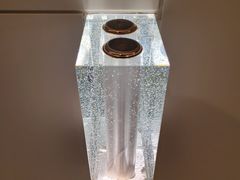 -深圳国际会展中心希尔顿酒店(前海华发冰雪世界店)