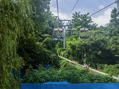 -富斯特索道