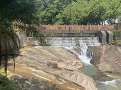 -广州白江湖森林公园