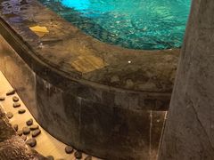 -艺水间水汇