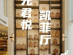-凯菲厅海鲜姿造·海鲜自助·帝王蟹·龙虾(成都群光君悦酒店)