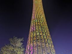 -赏点粤式点心(广州塔店)