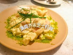 -Aqua Oasis 水天堂(太湖中心mall店)
