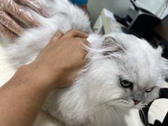 -宠颐生中康贝怡动物医院