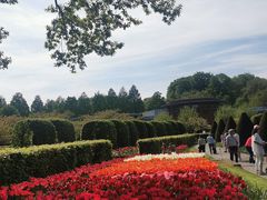 -库肯霍夫公园