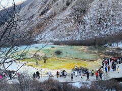 -黄龙山原始森林景区