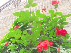 -回龙窝历史文化街区