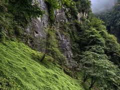 -峨眉山风景名胜区
