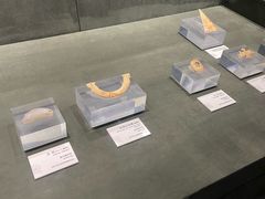 -马鞍山市博物馆