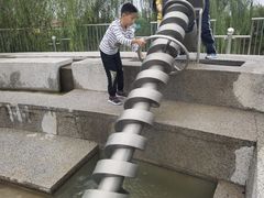 -荷兰花海