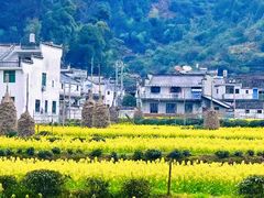 -婺源风景区