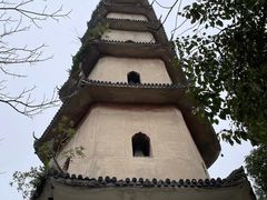 -江心屿景区