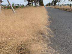 -漩门湾国家湿地公园