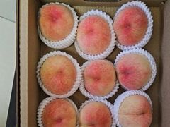 -老袁家蜜桃农场·阳山水蜜桃